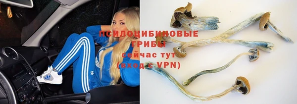 ALPHA PVP Мегион