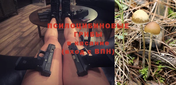 ALPHA PVP Мегион
