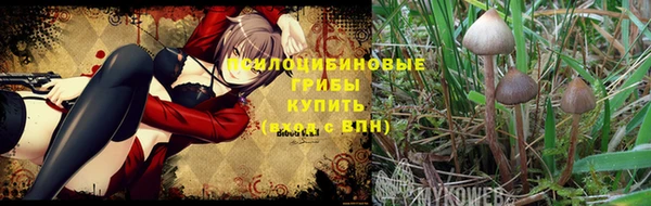 кокаин Медвежьегорск