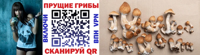 Галлюциногенные грибы Magic Shrooms  наркотики  Старый Оскол 