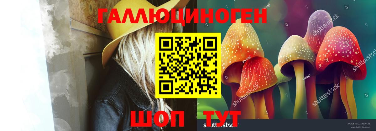 Галлюциногенные грибы прущие грибы  Старый Оскол 